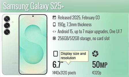 Samsung Galaxy S25+ 6.7"